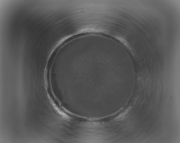 X0000074261030200609011337