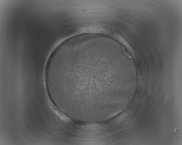 X0000074261035200609011337