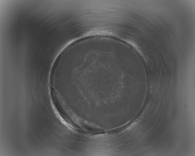 X0000074261038200609011337