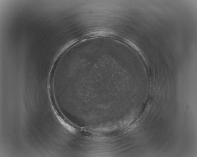 X0000074261042200609011337