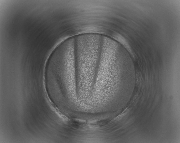 X0000074261043200609011337