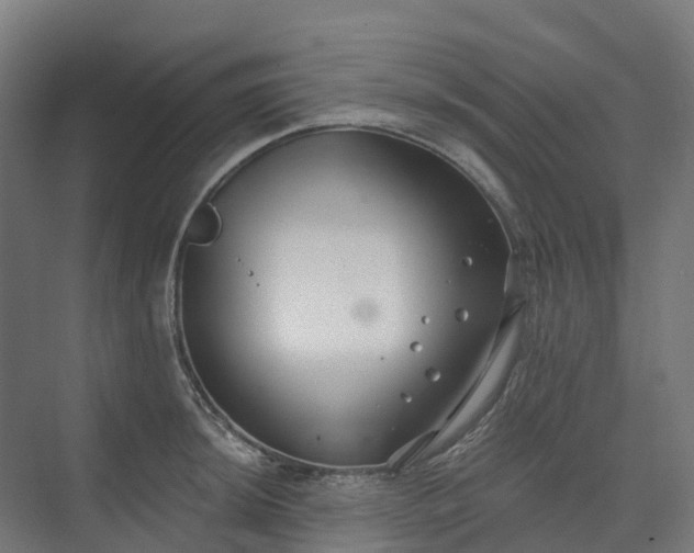 X0000074261044200609011337