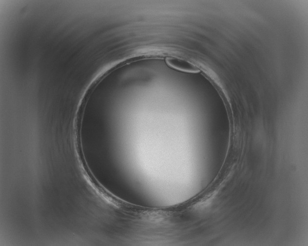 X0000074261045200609011337