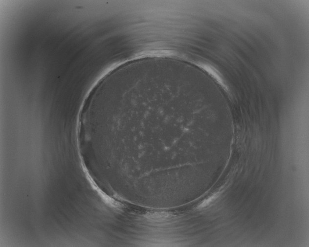 X0000074261046200609011337