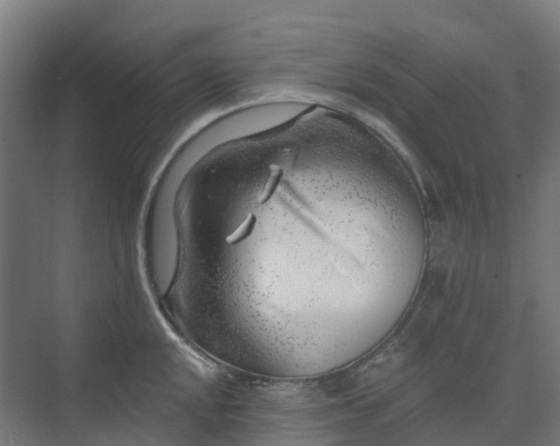 X0000074261048200609011337