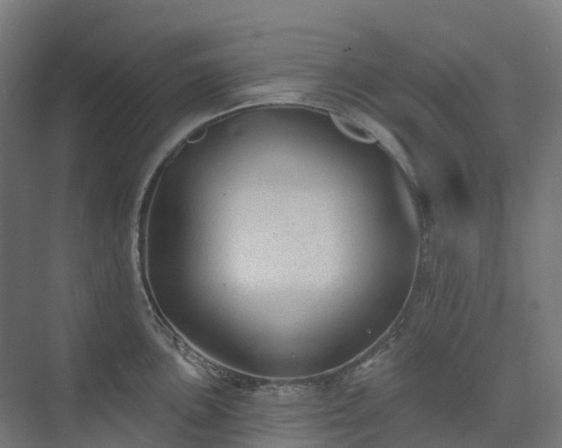 X0000074261051200609011337