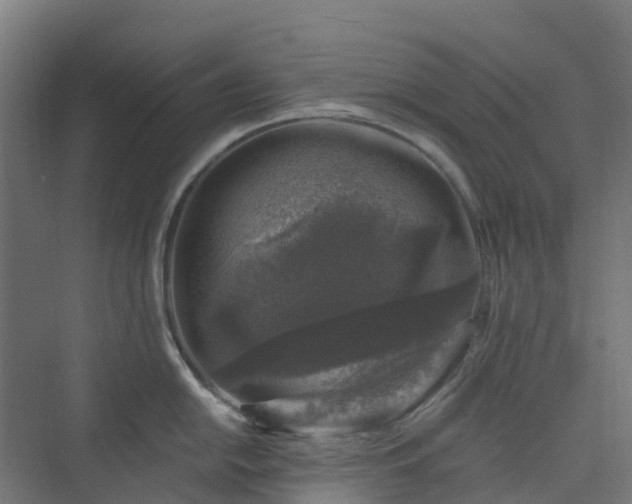 X0000074261054200609011338