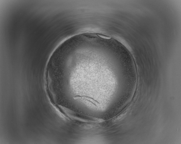 X0000074261056200609011338