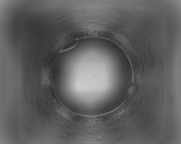 X0000074261060200609011337