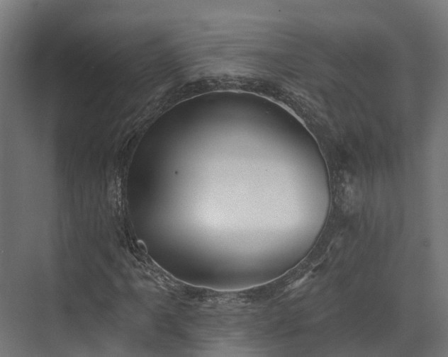 X0000074261061200609011337