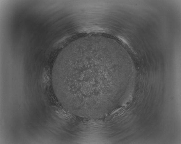 X0000074261063200609011337