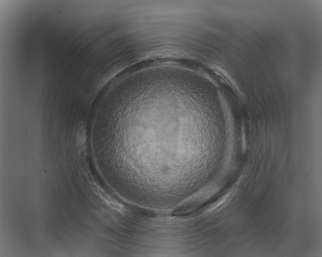 X0000074261065200609011337