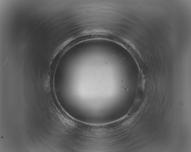 X0000074261066200609011337