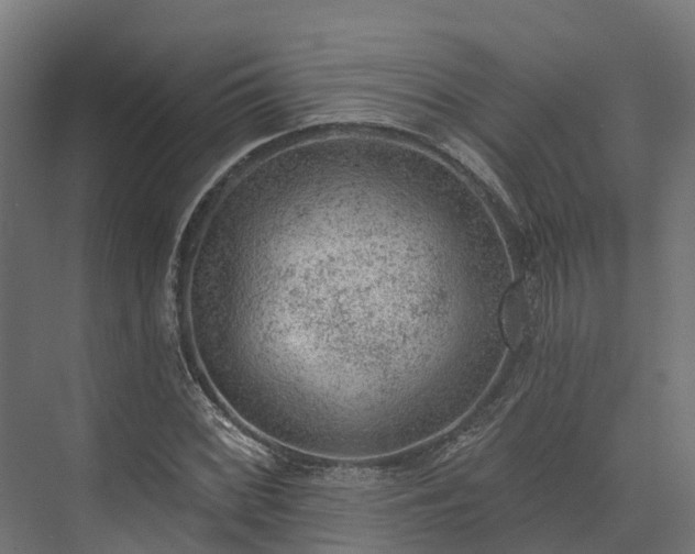 X0000074261068200609011337