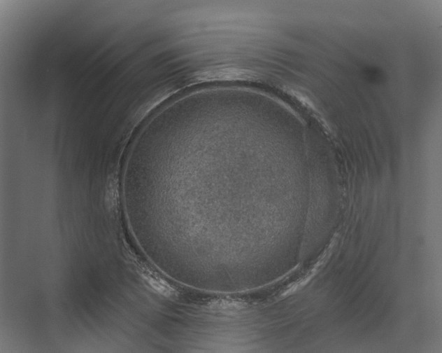 X0000074261073200609011337