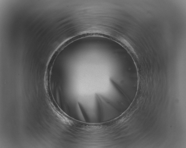 X0000074261076200609011336