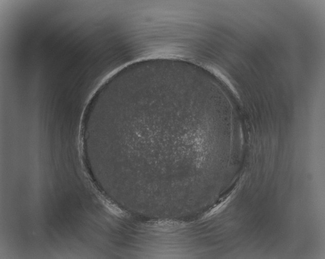 X0000074261077200609011336