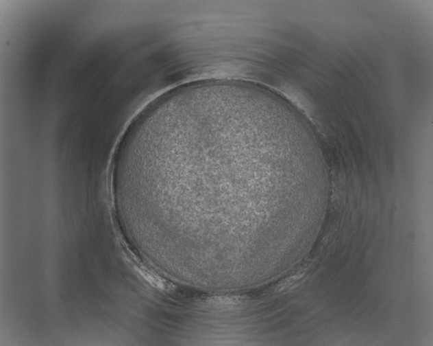 X0000074261078200609011336