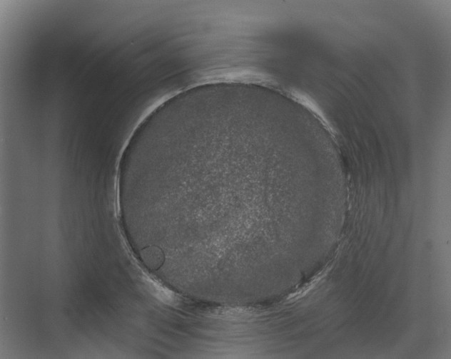 X0000074261079200609011336