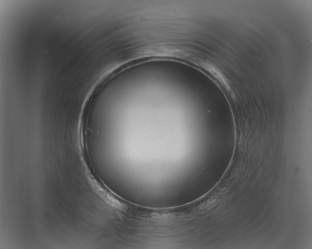 X0000074261080200609011336