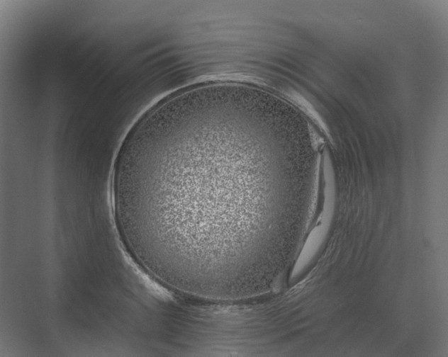 X0000074261084200609011336