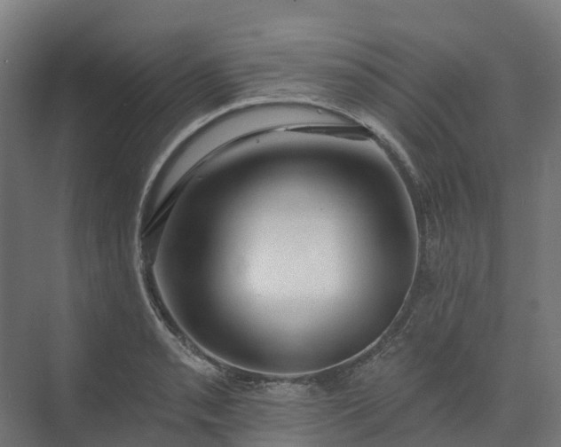 X0000074261085200609011336