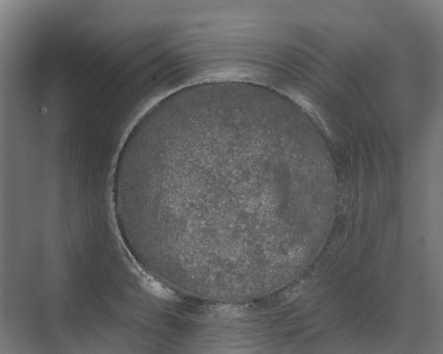 X0000074261086200609011336