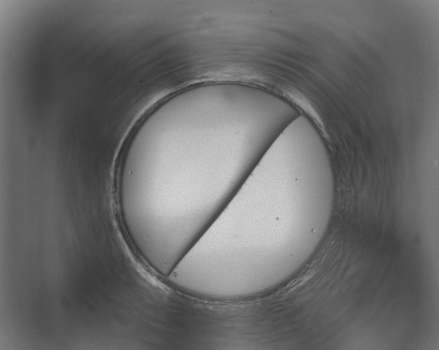 X0000074261087200609011336