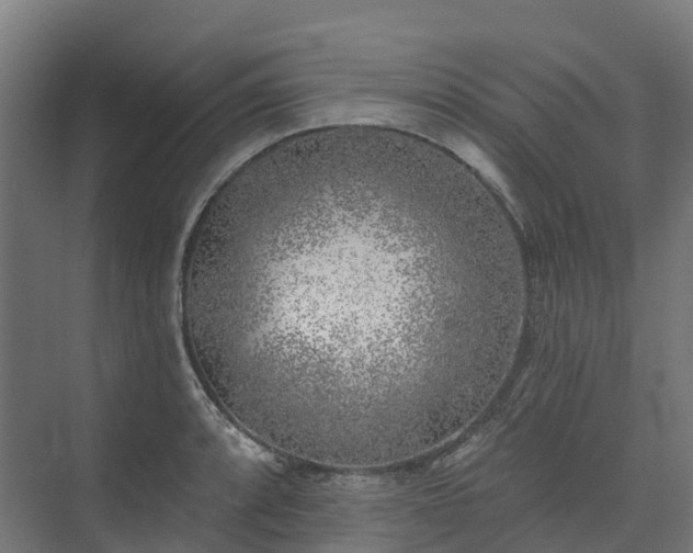 X0000074261088200609011336