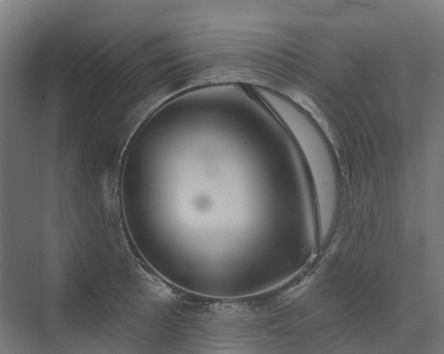 X0000074261089200609011336