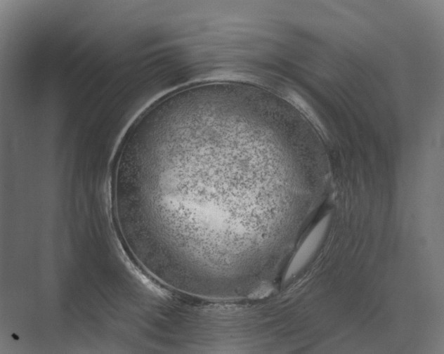 X0000074261092200609011336