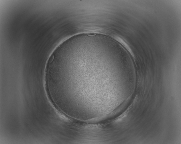 X0000074261093200609011336