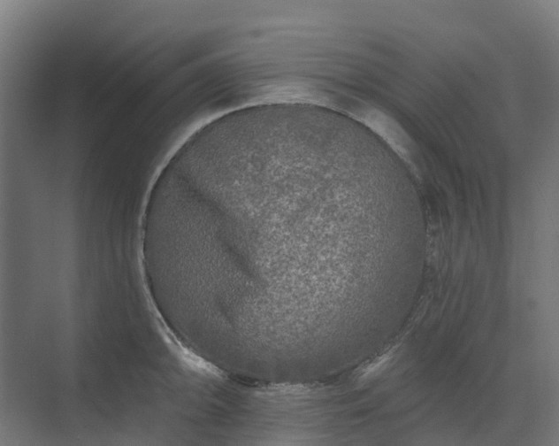 X0000074261094200609011336