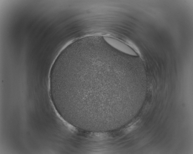 X0000074261095200609011336