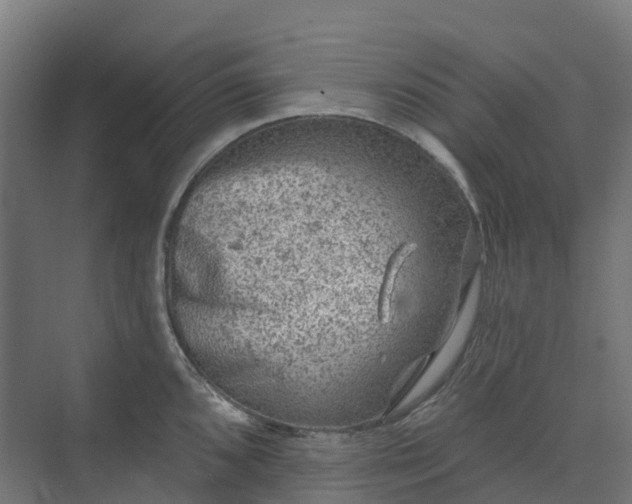 X0000074261096200609011336