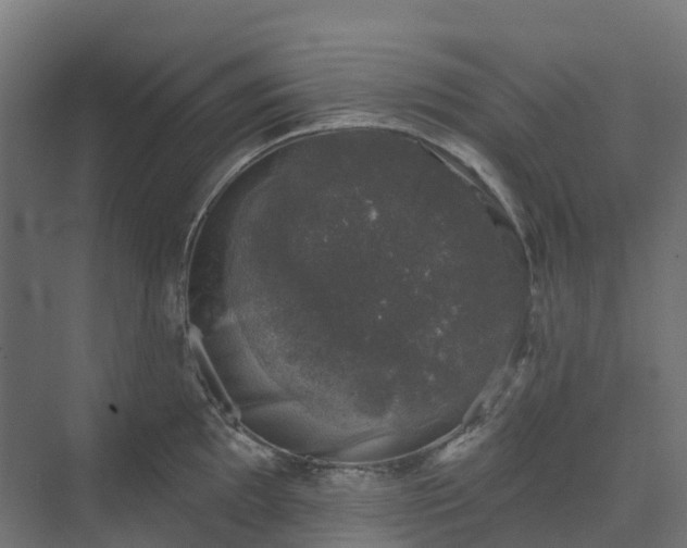 X0000074261097200609011336