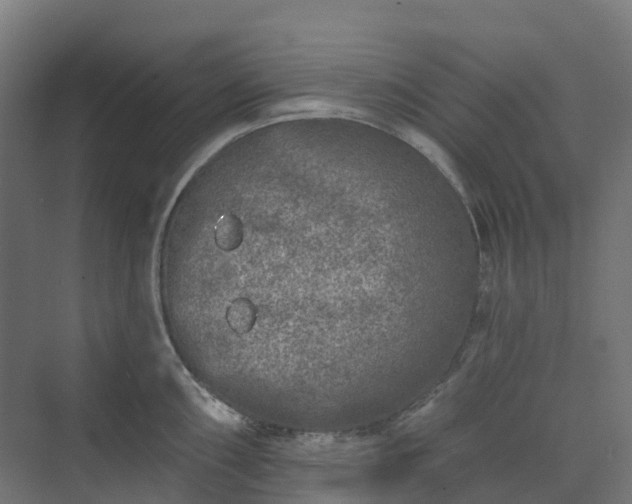 X0000074261098200609011336