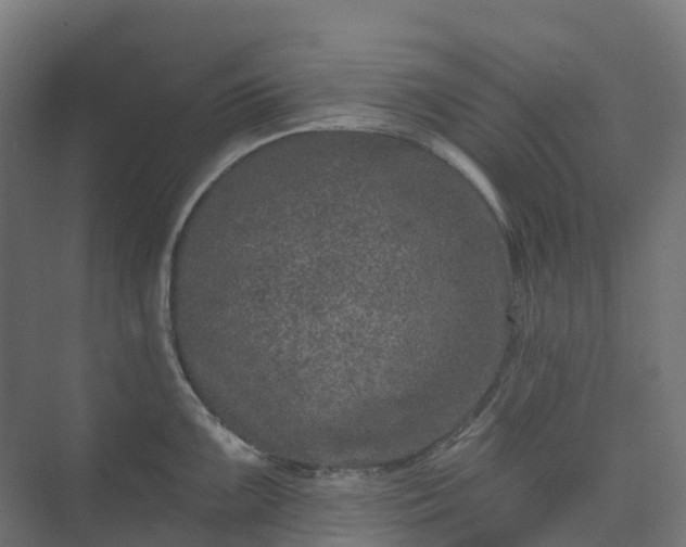 X0000074261099200609011336