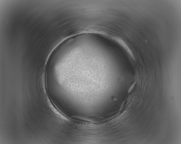 X0000074261100200609011336