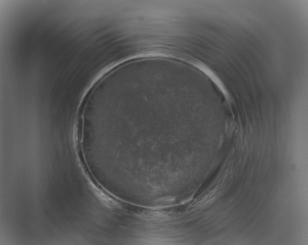 X0000074261101200609011336