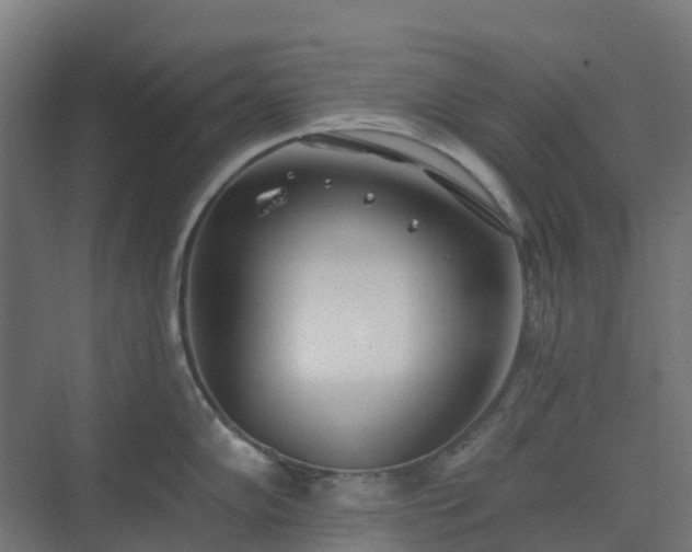 X0000074261102200609011336