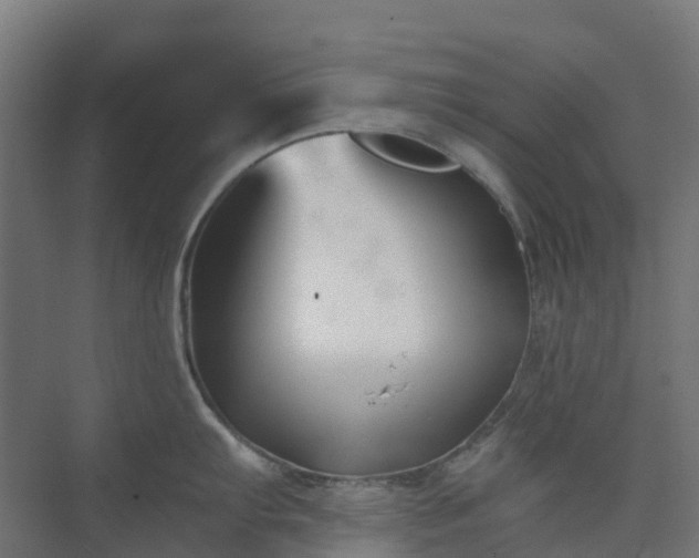 X0000074261103200609011336