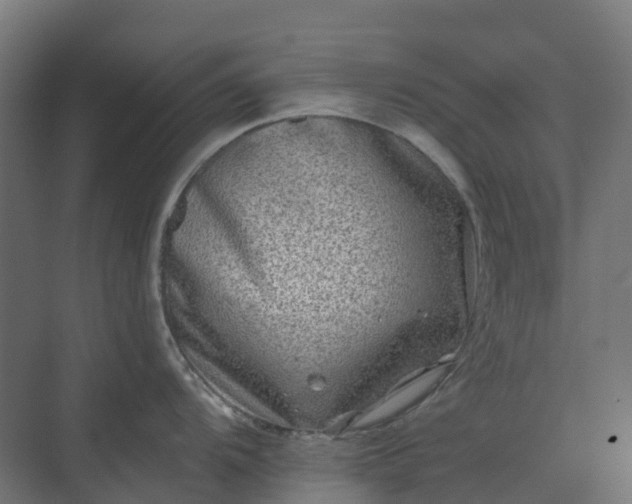 X0000074261104200609011336