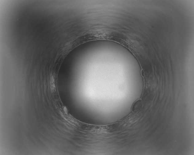 X0000074261106200609011335