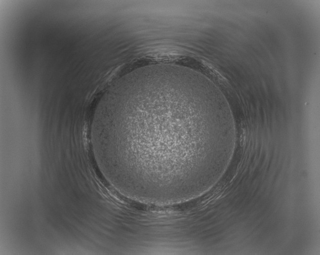 X0000074261108200609011335