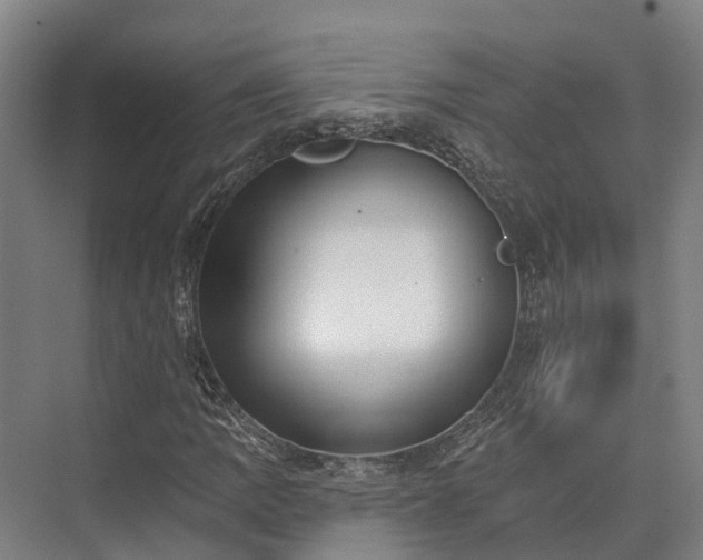 X0000074261109200609011335