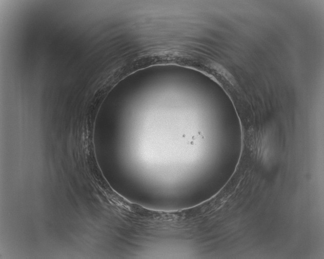 X0000074261111200609011335