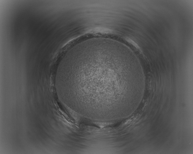 X0000074261112200609011335