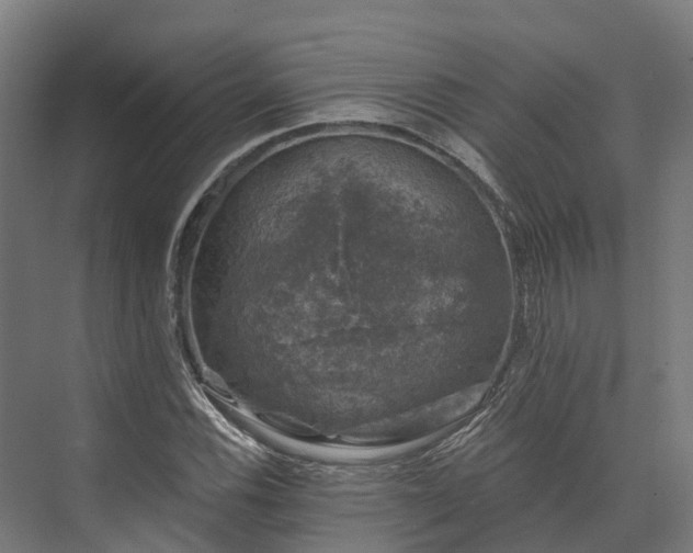 X0000074261116200609011335