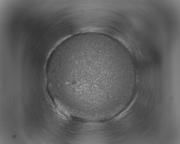 X0000074261117200609011335